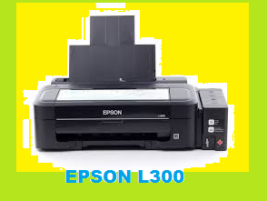 EPSON L300